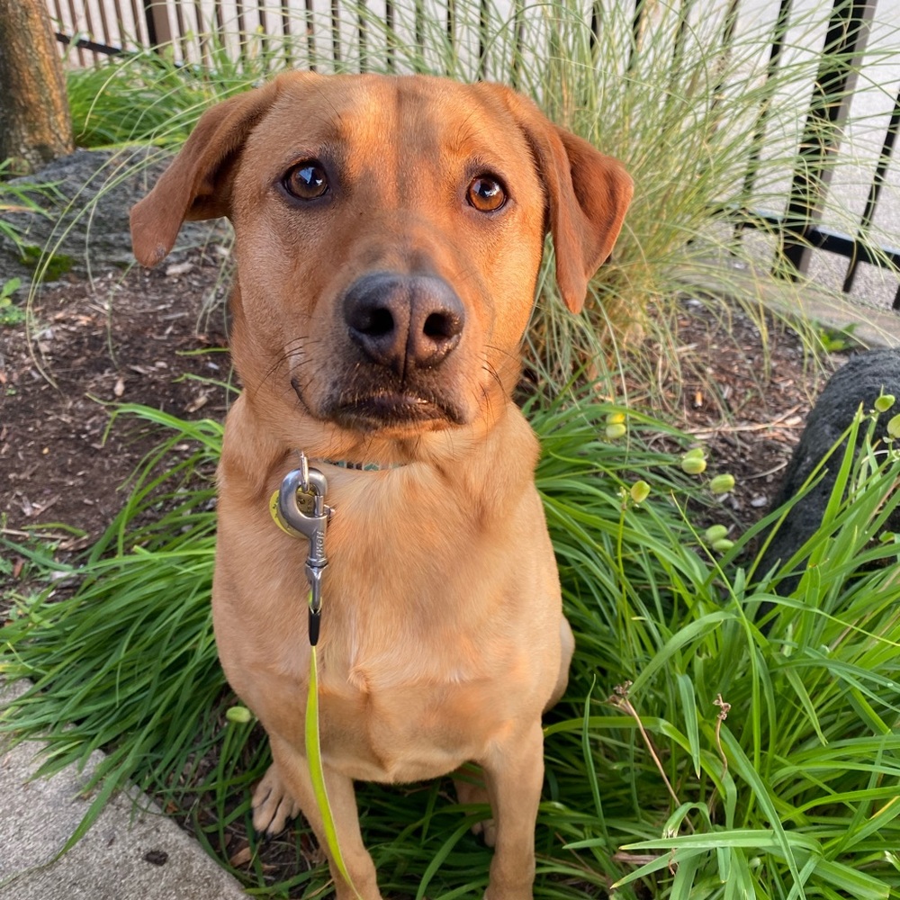 Meet your Posher, Tiffini